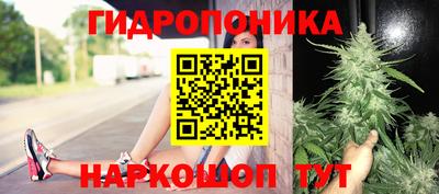 стафф Донецк